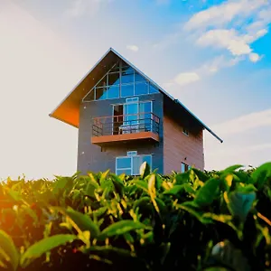 https://resort-cloud-canopy-unique-tea-garden-in.kerala-hotels.net